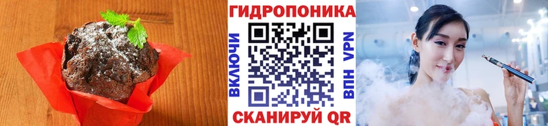 MEGA ТОР Узловая Canna-Cookies конопля