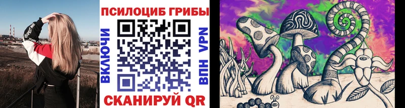 купить  сайты  Узловая  Галлюциногенные грибы мухоморы 