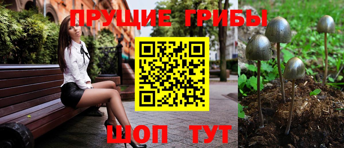 Псилоцибиновые грибы мухоморы Узловая