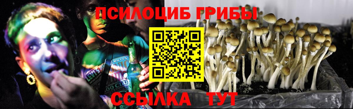 ГАШ Узловая